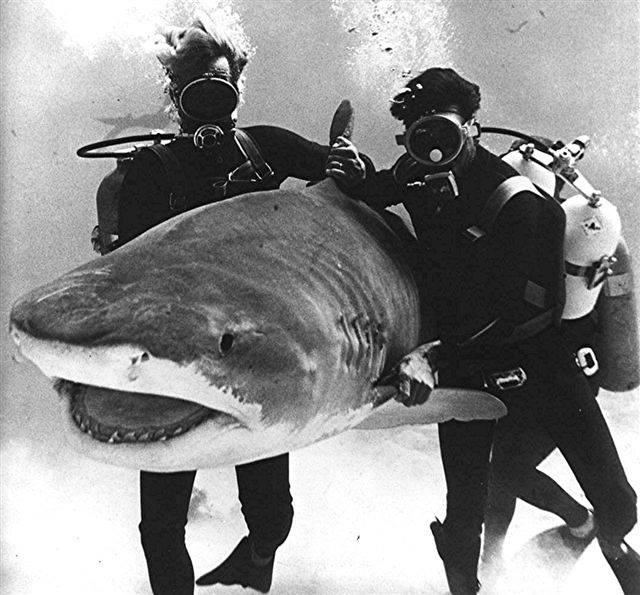 Big John McLaughlin in action during the filming of Thunderball in the Bahamas 1965