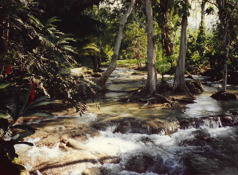 Dunn’s River, Jamaica, 1989