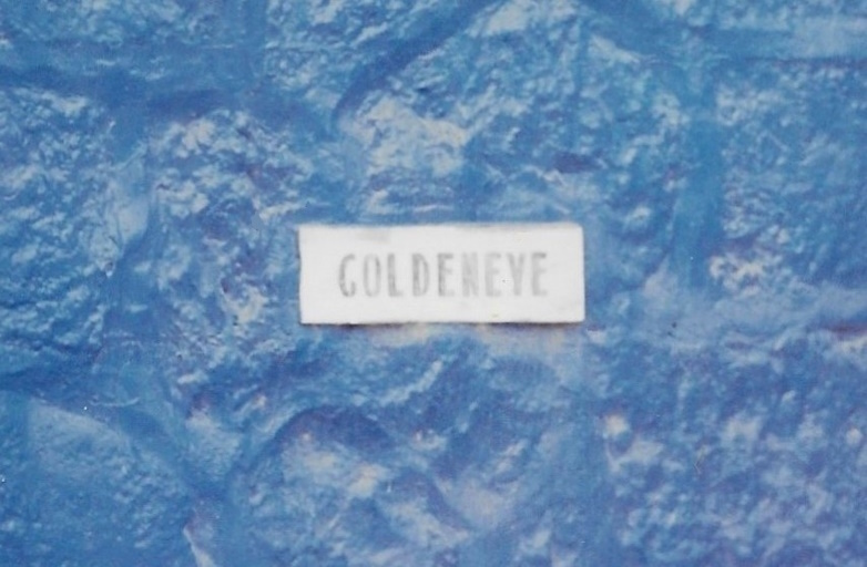 Goldeneye, Jamaica, gate, 1989