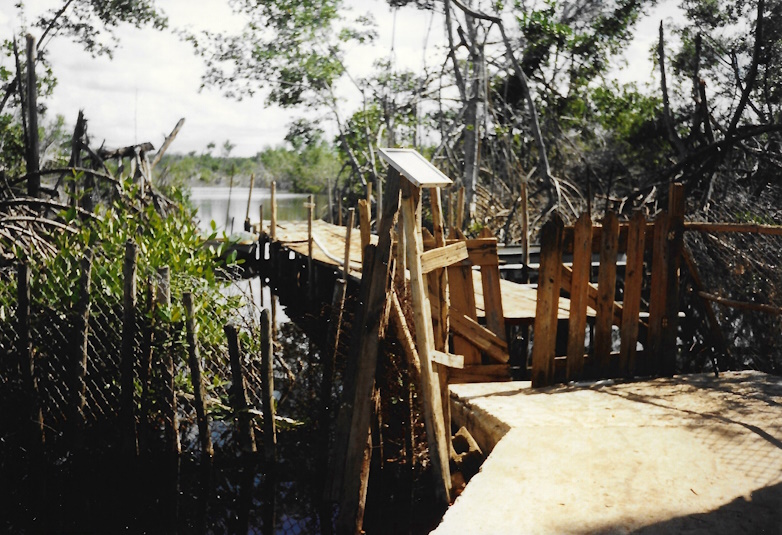 Kevin Koltz, Reptile Center, Jamaica Swamp Safari Village, 1989