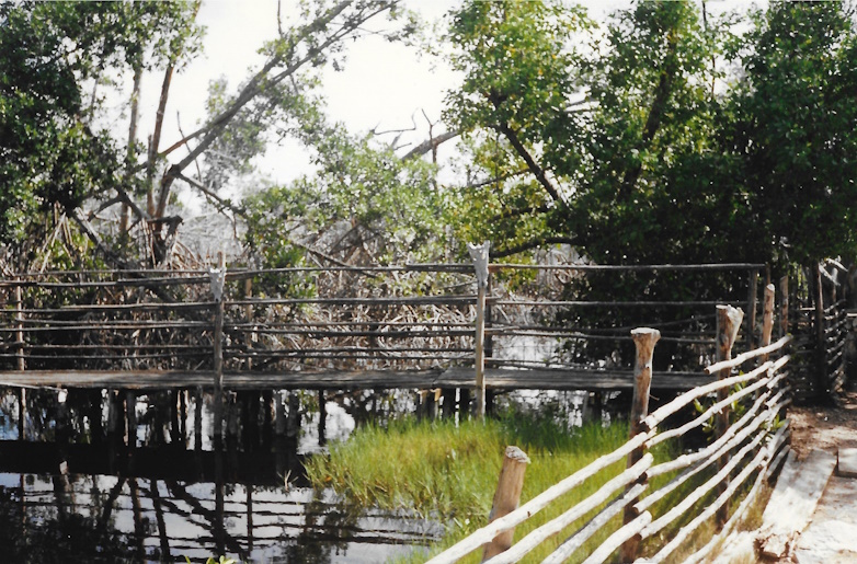 bridge, James Bond Island, Jamaica Swamp Safari Village, 1989