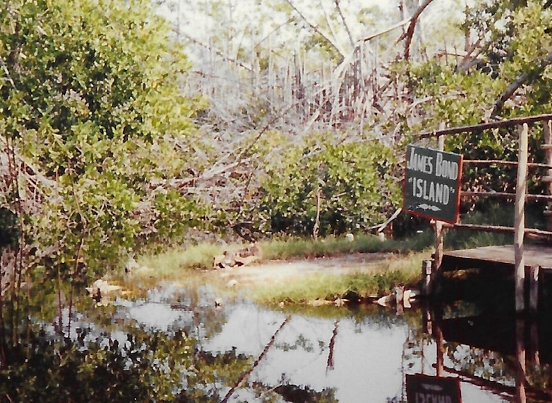 Alligator, James Bond Island, Jamaica Swamp Safari Village, 1989