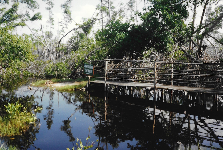 James Bond Island, Jamaica Swamp Safari Village, 1989