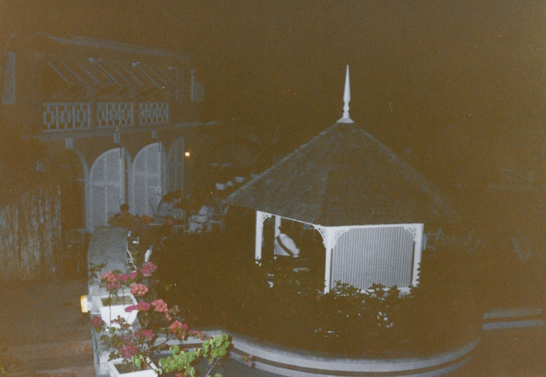 Sans Souci, property, grounds, 1989