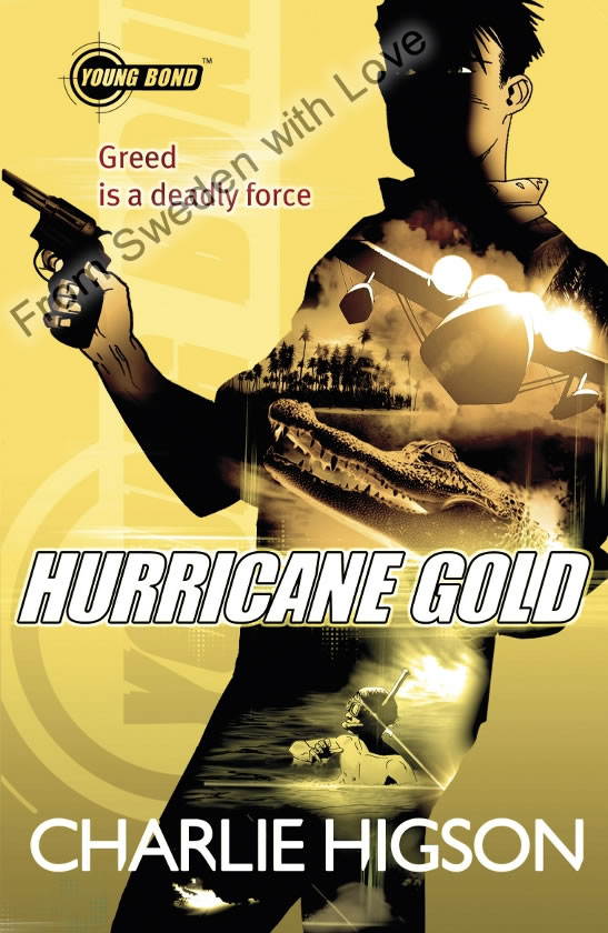 Hurricane gold 2012 uk paperback