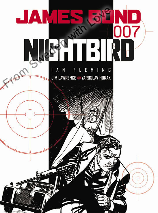 Nightbird graphic novel